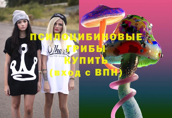 спайс Алексин